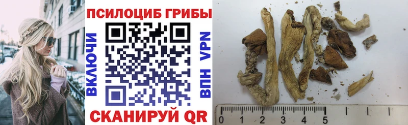 Галлюциногенные грибы MAGIC MUSHROOMS  магазин    Кола 
