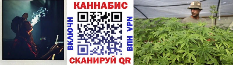 Конопля Ganja  Кола 